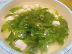 -丁老爷子苏香圆