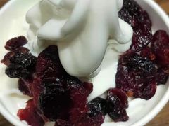 -Salud撒露欧洲冻酸奶(五道口购物中心店)