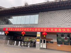 -都江堰中华大熊猫苑