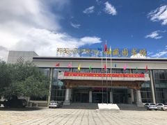 -西藏自治区图书馆