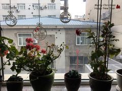 -清悦酒吧咖啡馆