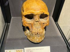 -北京周口店北京人遗址博物馆