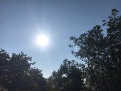 -火炉山森林公园