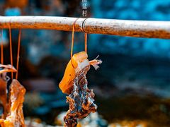 -婺源风景区