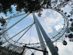 -日照海滨国家森林公园