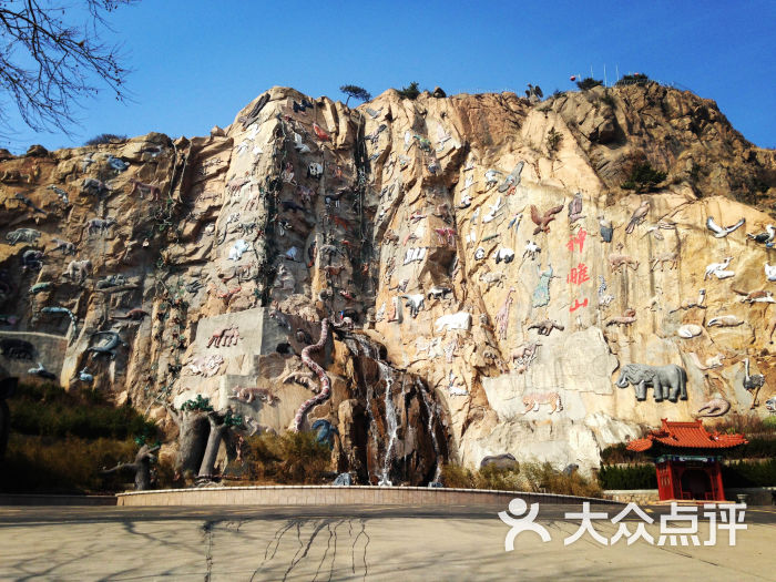 yorona上传的图片