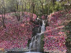 -灵栖洞天