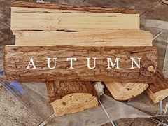 -CAMP.33露营烤肉·团建聚餐(创智天地店)