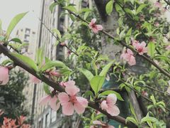 -欢乐海岸