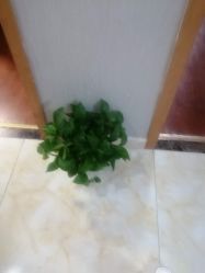 点击看大图 -Dr.林醫生产后修复·配方产康(南京江宁万达店)