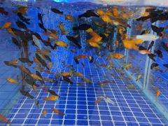 -大润发(梅兰东路店)