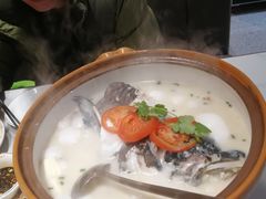 -全乐鱼馆·淳牌有机鱼直营店