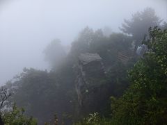 -王莽岭风景区