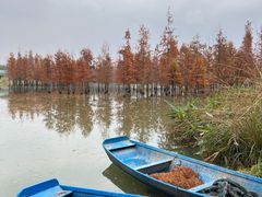 -白鹭湾湿地公园