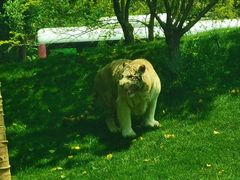 -北京野生动物园