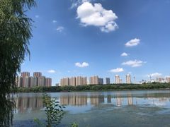 -长白岛森林公园