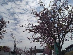 -松鹤墓园-停车场