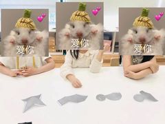 -培飞思维启蒙·益智游戏·科学探索(城西银泰店)