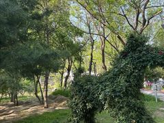 -大兴滨河森林公园