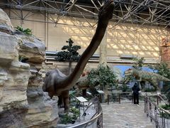 -国家自然博物馆