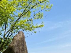 -合肥三国新城遗址公园