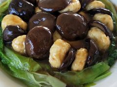 -老乡村美食农庄