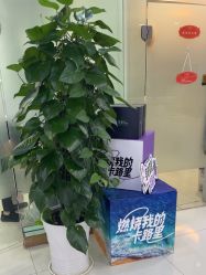 -青岛诺德医学美容医院