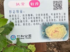 -仁和公园(顺义区)