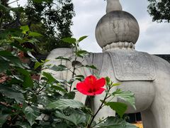 -成都市文殊院