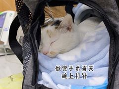 -联合动物医院(光谷诊疗中心)
