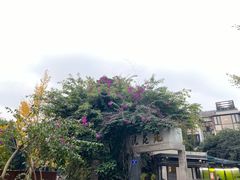 -浣花锦绣(杜甫草堂店)
