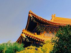 -西安大兴善寺