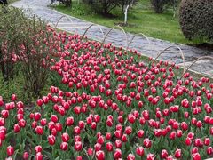 -玄武湖景区-情侣园游乐场