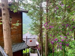 -广东天露山旅游度假区