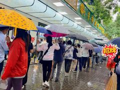 -牛街洪记小吃店(牛街店)