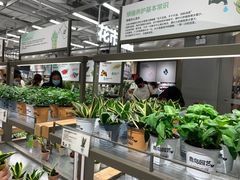 -鹿岛生活(熙地港店)