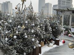 -城市露台景观餐厅(淮海路店)