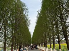 -嘉北郊野公园