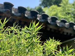 -曲廊院(东四十一条店)