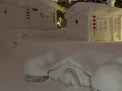 -长春市南湖公园