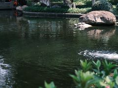 -名树园