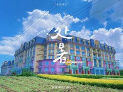 -百万葵园