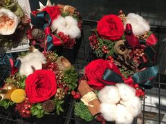 -植物学家的女儿(北马道巷店)