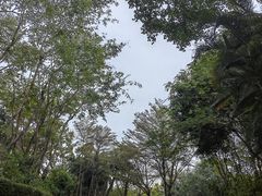 -深圳国际园林花卉博览园