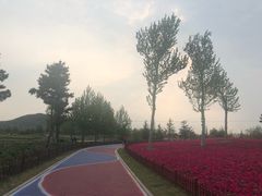 -羊亭河湿地公园