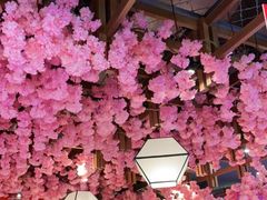 -九田家黑牛烤肉料理(宽城万达店)