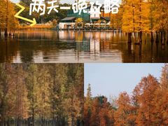 -白鹭湾湿地公园