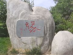 -兰山公园