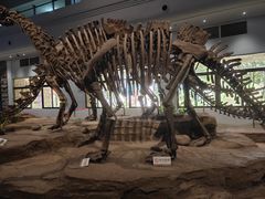 -自贡恐龙博物馆