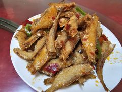 -杨记拉面总店